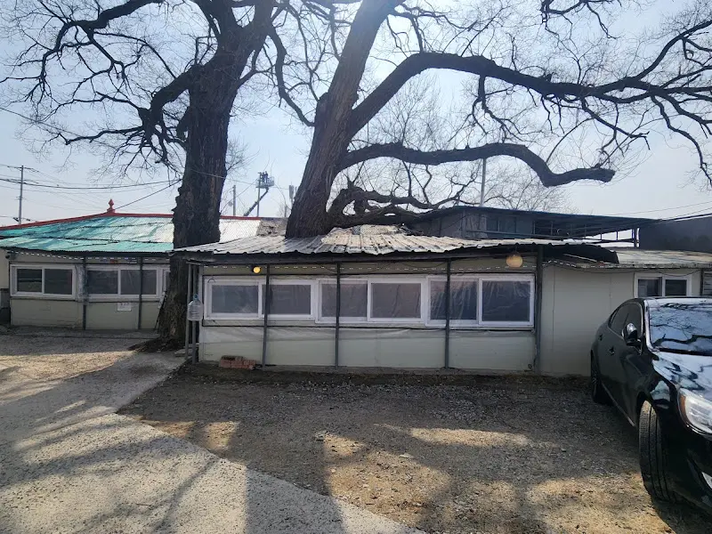 버드나무와 가게