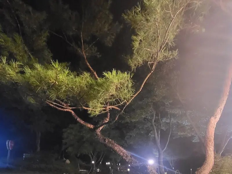 밤의 정원 풍경