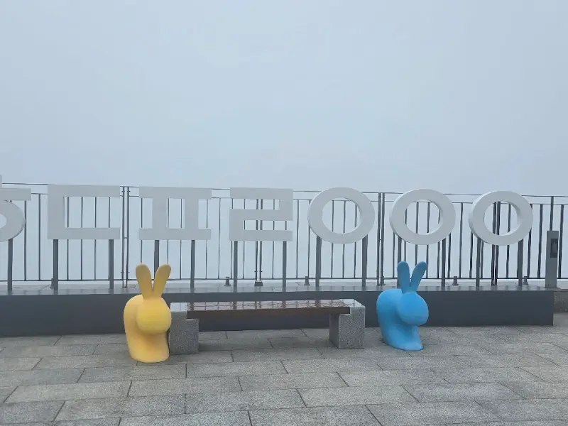 케이블카에서 내려다본 하동의 모습