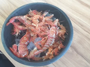 입 안에서 펼쳐지는 도화지, 인천 맛집 독도새우의 황홀경