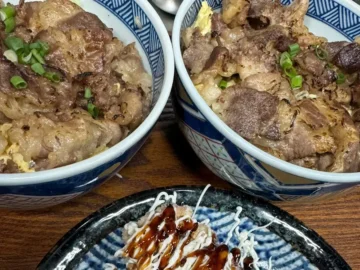 향수를 자극하는 그 맛, 대전 율에서 만나는 진짜 일본 덮밥 맛집