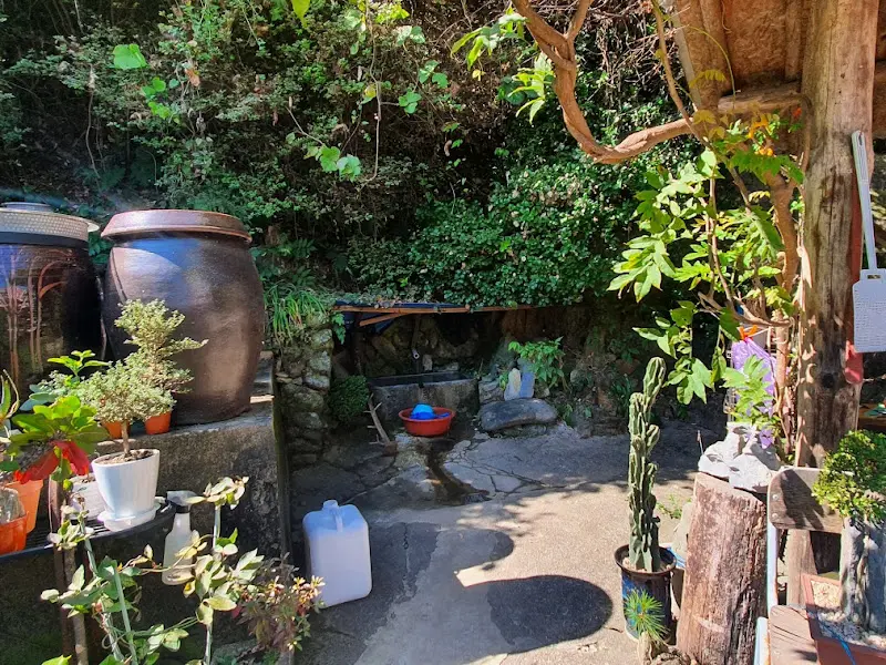 옹달샘보리밥집의 작은 옹달샘