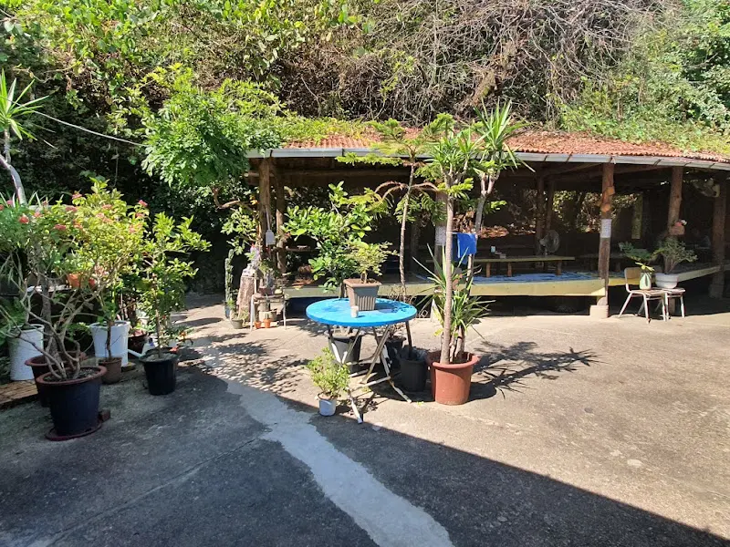 정원 곳곳에 놓인 화분들이 정겨운 분위기를 더한다