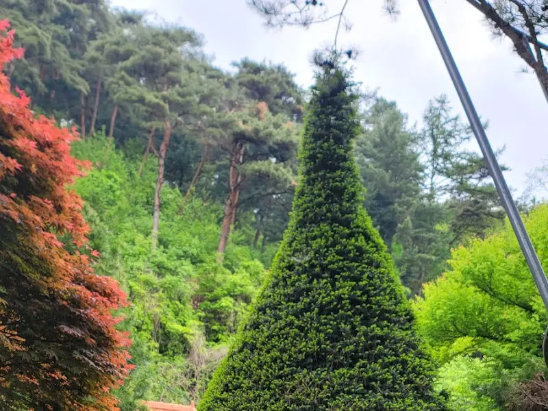 옹달샘보리밥집으로 향하는 길