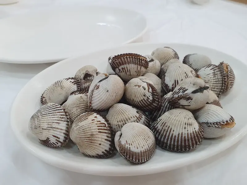 싱싱한 꼬막의 모습