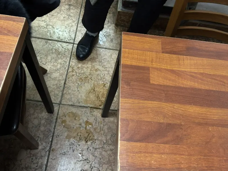 테이블 아래 떨어진 음식물