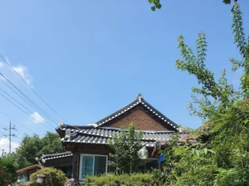 화순에서 찾는 흑두부의 참맛, 달맞이에서 맛보는 인생 맛집