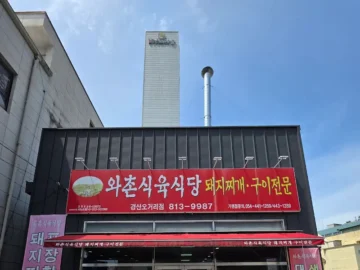 잊을 수 없는 돼지찌개, 경산 오거리 맛집 와촌식육식당에서 맛보는 고향의 맛