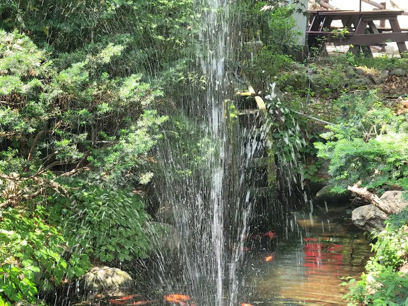 황금정원 정원의 연못과 분수