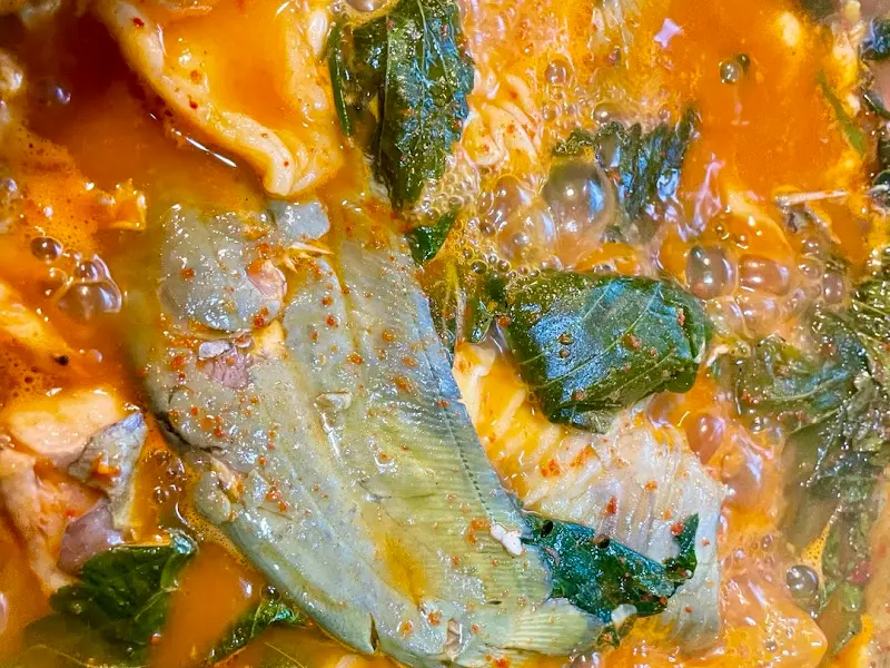 살이 통통하게 오른 메기