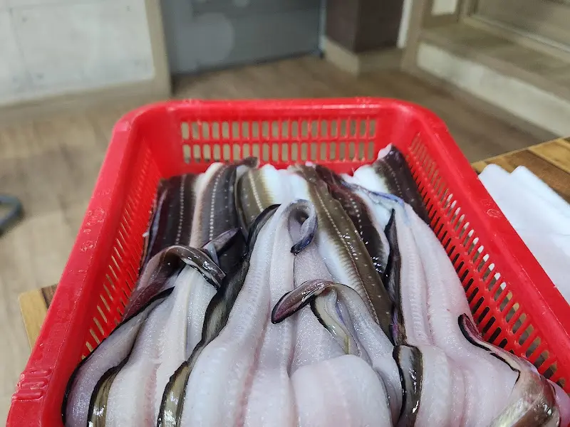 신선한 장어가 가득 담긴 빨간 바구니