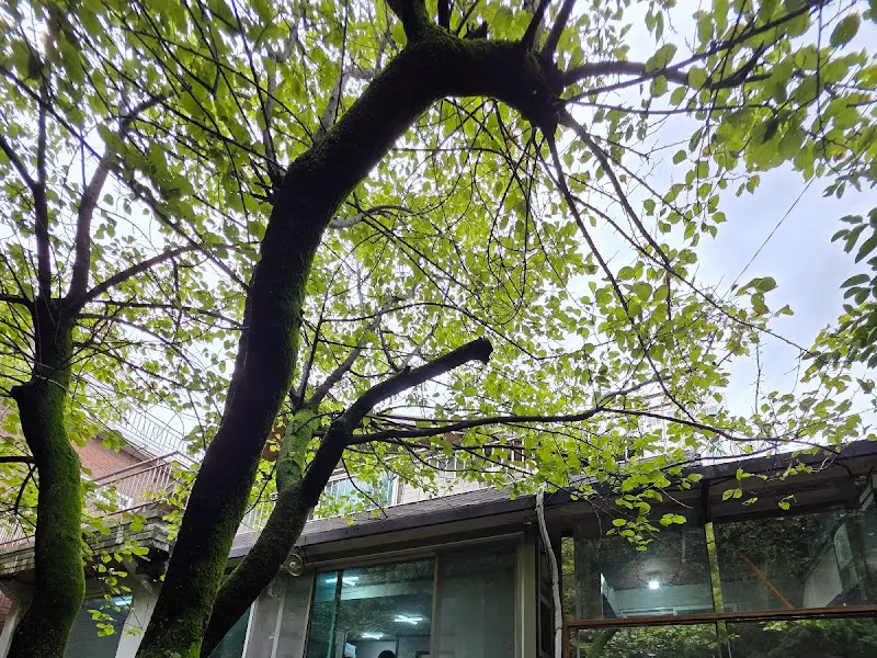 실구N무궁 칼국수 주변 풍경