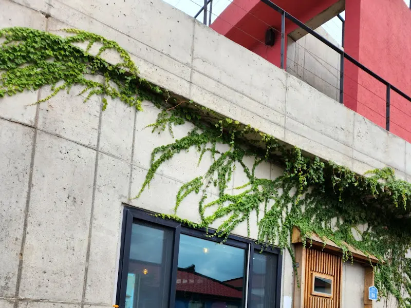 건물 외벽에 덩쿨이 있는 달이뜨는식탁