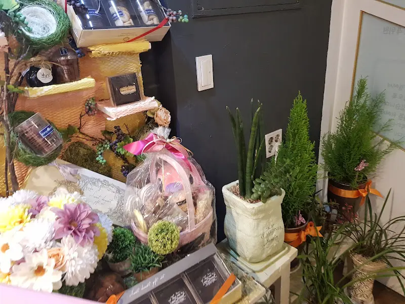 화분으로 장식된 가게 내부