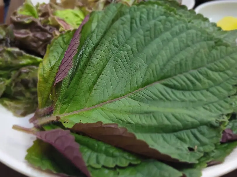 신선한 쌈 채소