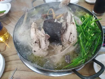 미지의 양산에서 찾은 과학적 향연, 흑돼지 맛집의 숨겨진 비밀