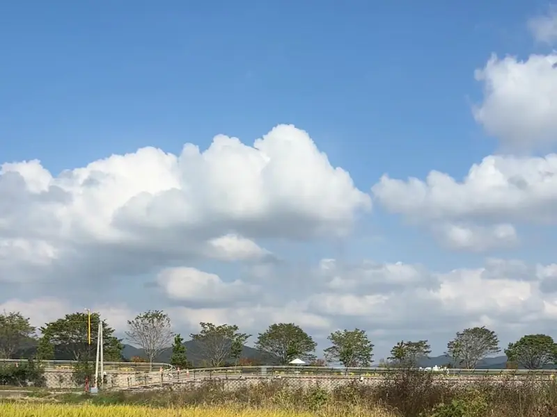 카페 주변 풍경