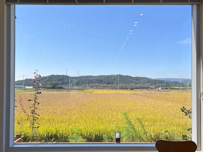 2층에서 바라본 풍경