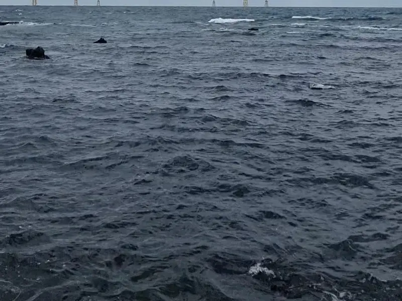 료리야에서 바라본 바다