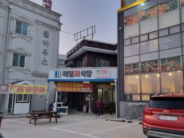 영덕 고래불해수욕장, 매일회식당 물가자미찌개! 진짜 레전드 맛집 발견!