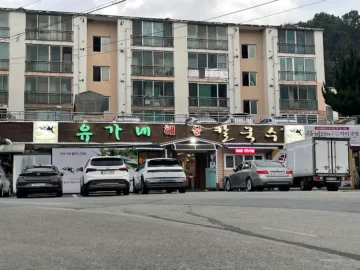 진정한 칼국수 맛집 성지, 공주 유가네에서 만난 복해물칼국수의 레전드