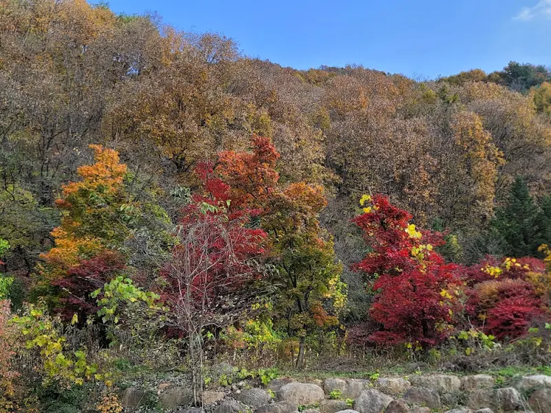 가마골 주변을 둘러싼 아름다운 가을 풍경