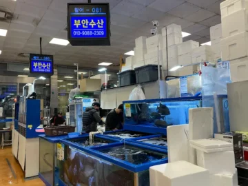 겨울바다 향기 품은 노량진, 부안수산에서 맛보는 고향의 맛! 횟집 기행