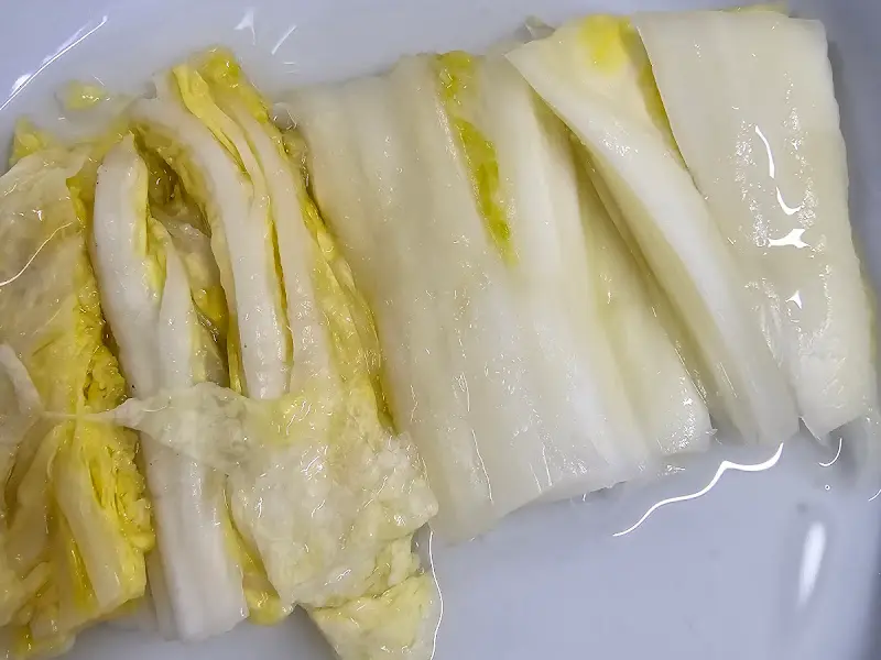 싱싱한 배추의 모습