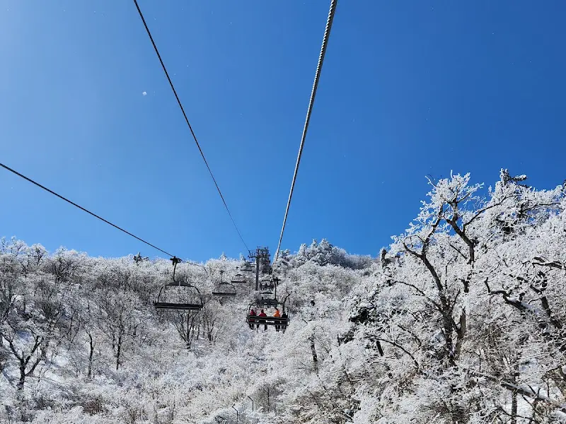 눈꽃이 핀 나무들 사이로 리프트가 지나가는 모습