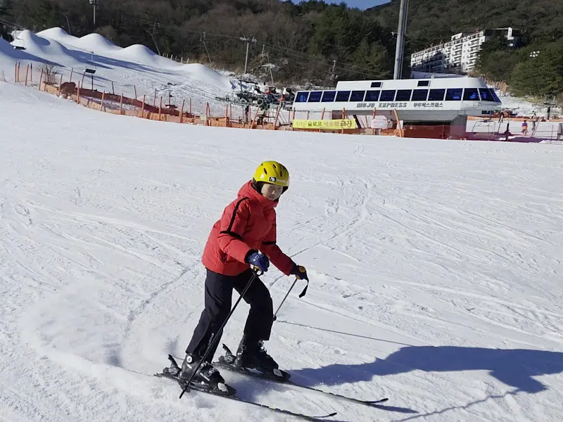 스키를 타는 사람의 모습