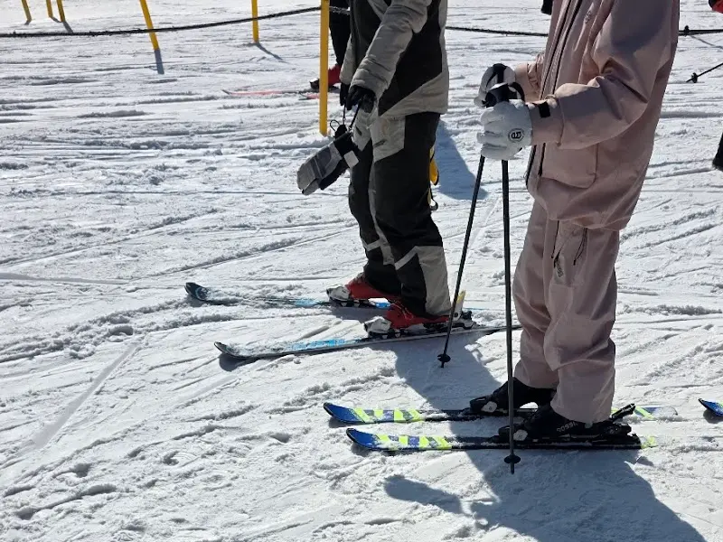 스키를 신고 서 있는 사람들의 발