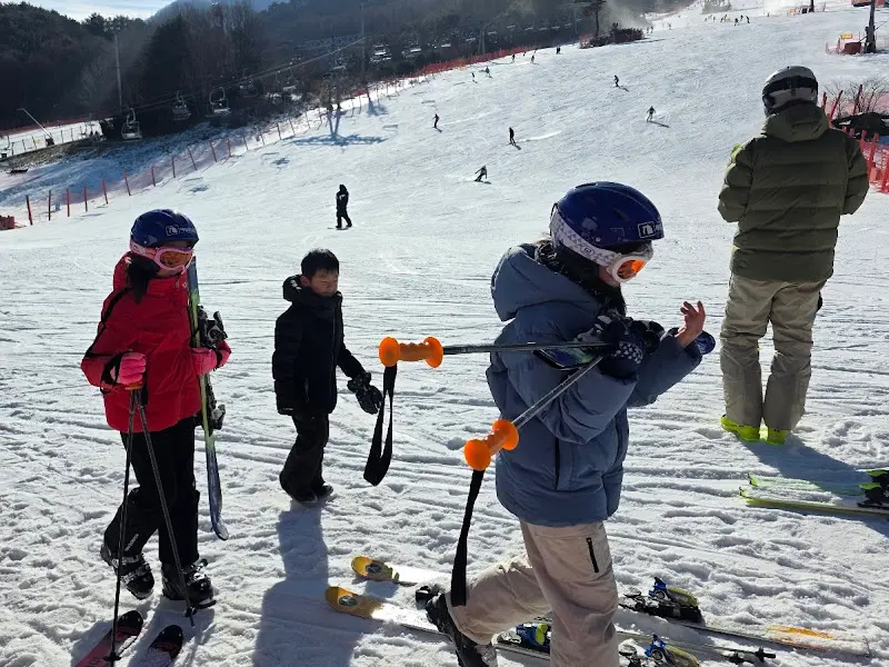 가족 단위 스키어들의 모습