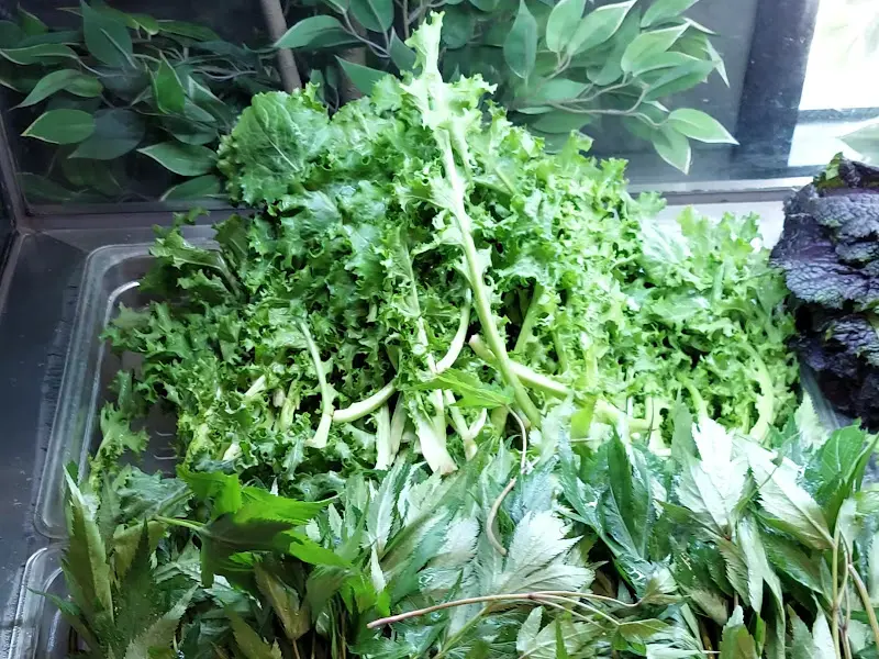 신선한 쌈 채소 코너의 모습