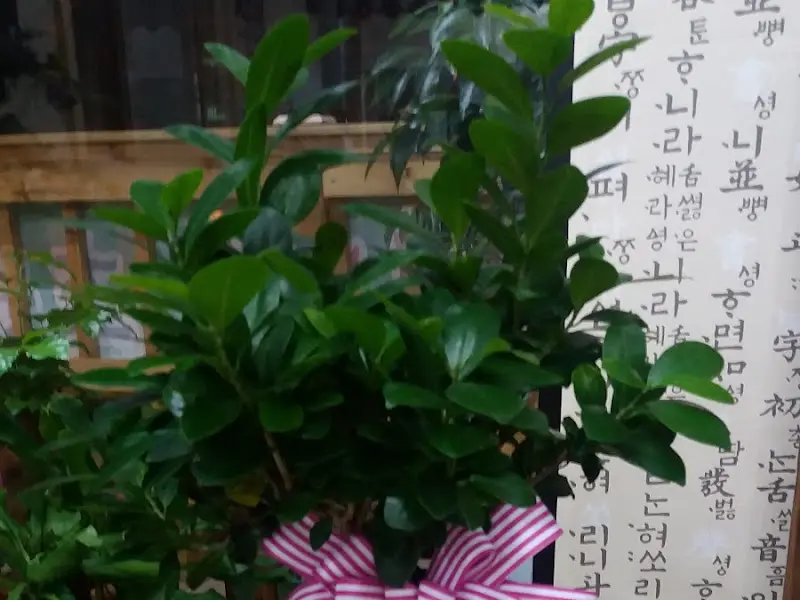 초원의 집 내부 장식