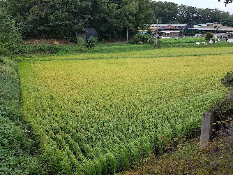 천우한우 식당 내부