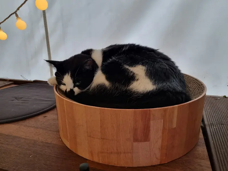 마르게리따 피자 포장