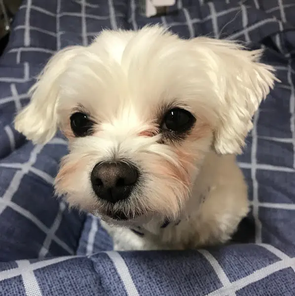 또 가고 싶은 곳