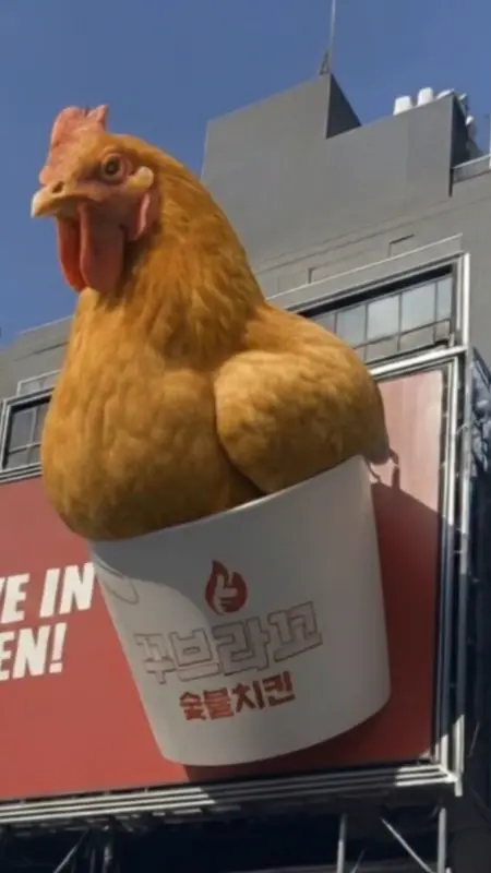 꾸브라꼬 숯불 치킨