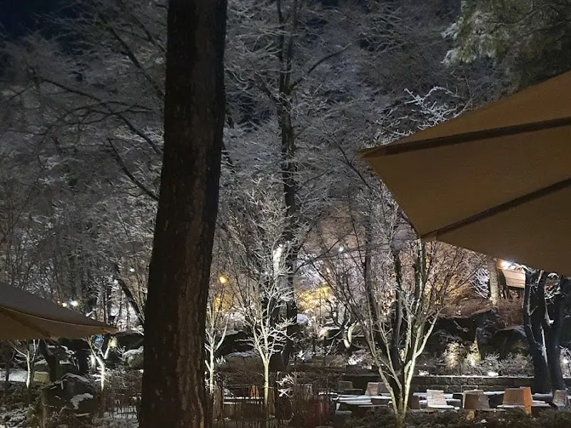 강강술래의 야경