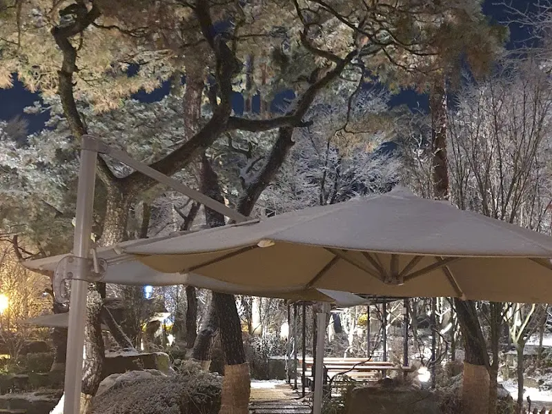 라이브 공연 무대