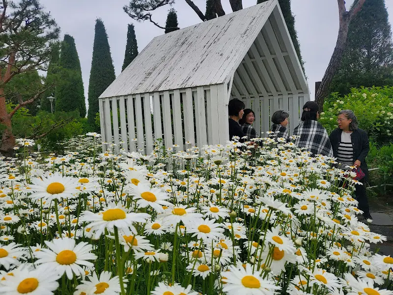 수국이 만개한 정원