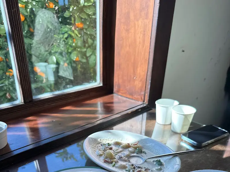 창밖으로 보이는 감귤밭