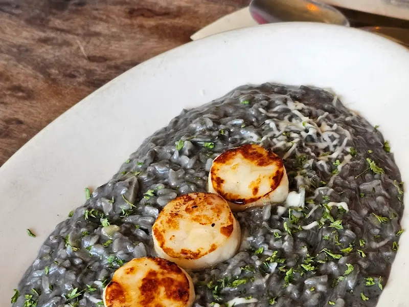 먹물 관자 리조또