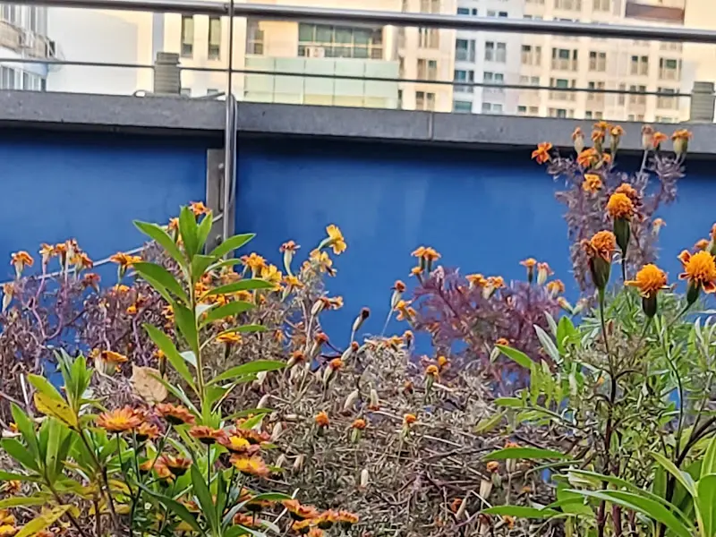 가게 외부 풍경