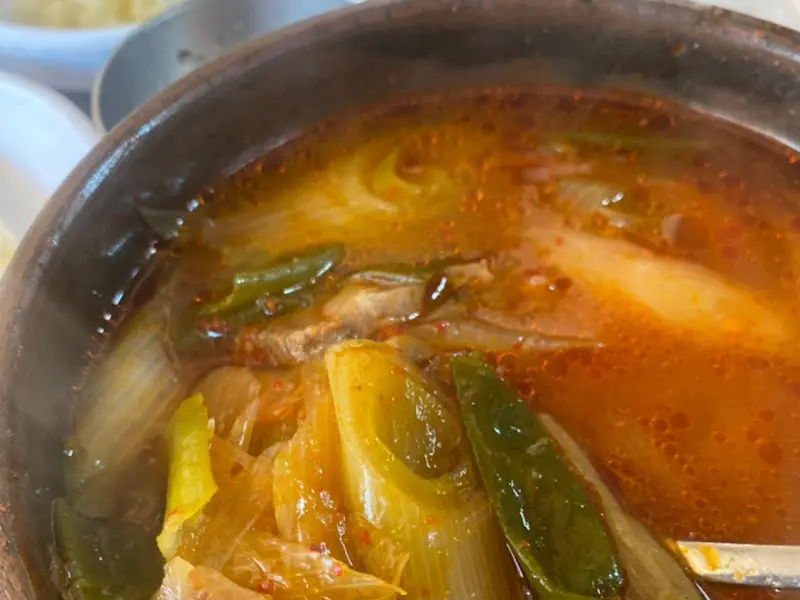 대파가 듬뿍 들어간 육개장