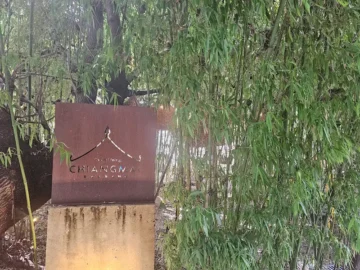 대전 소제동에서 만나는 작은 방콕, 치앙마이방콕에서 맛보는 이국적인 태국 맛집 기행