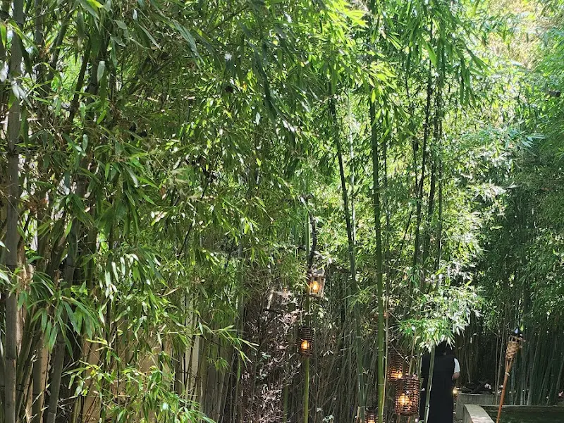 치앙마이방콕 야외 정원