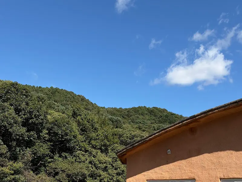 식당 주변 풍경