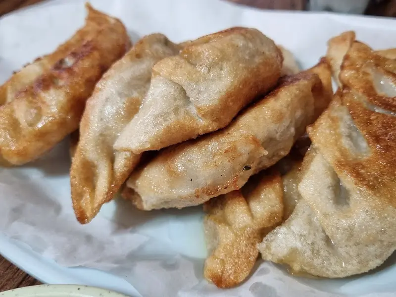 바삭한 군만두 클로즈업