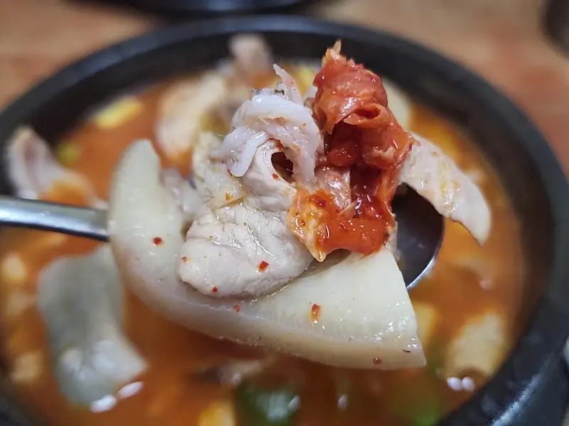 숟가락 위에 올려진 순대국밥 건더기